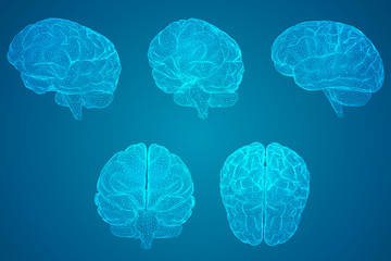 社区护士应注重哪几个方面的培养