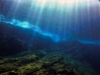 学生会团日活动策划方案