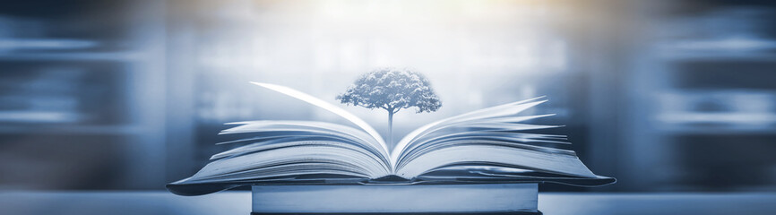 四川大学网络空间安全学院博士毕业条件