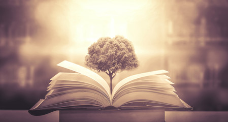 数学家华罗庚手抄报内容简单