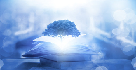 全球最伟大的物理学家