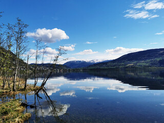 老年健康活动周宣传总结