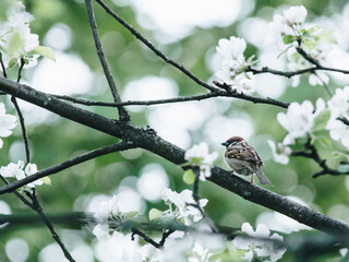 跪求人教B版高中数学必修五数列问题的解决方法及经典题型