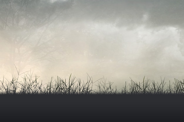 全球最伟大的物理学家