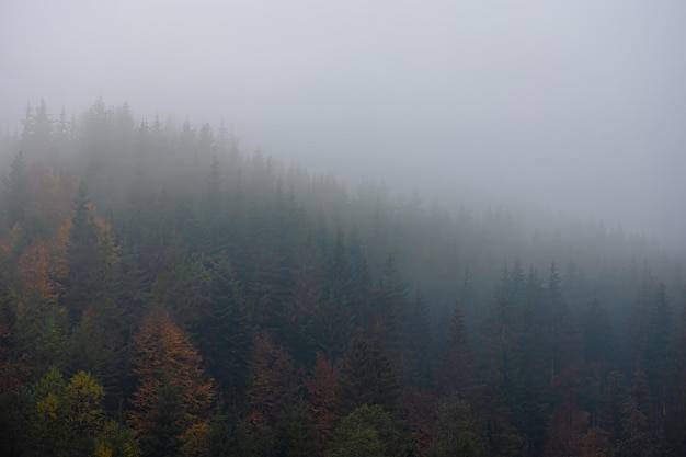 中国加油站品牌前十名