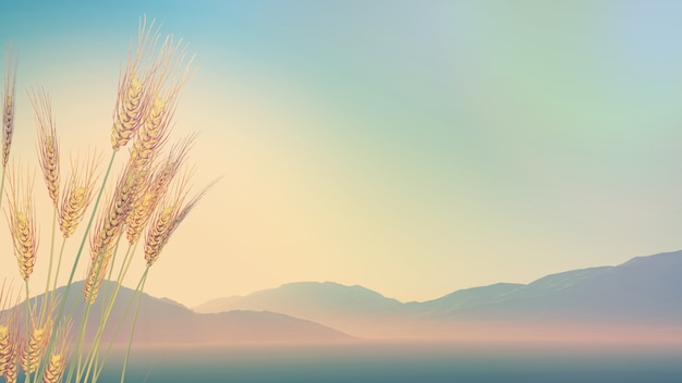 跪求人教B版高中数学必修五数列问题的解决方法及经典题型