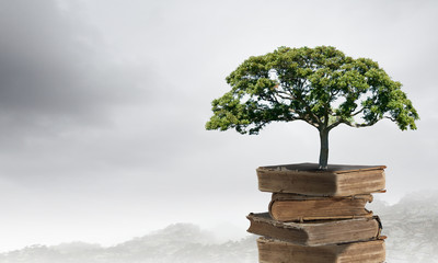 数学家华罗庚手抄报内容简单