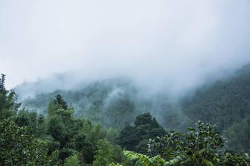 学生会团日活动策划方案